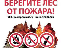 Без названия