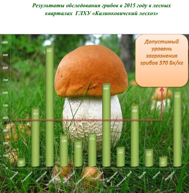 Безымянный1