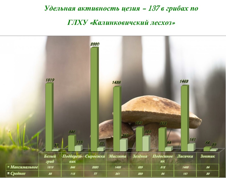 Безымянный11111