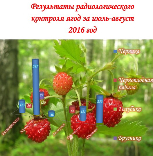 Безымянный222