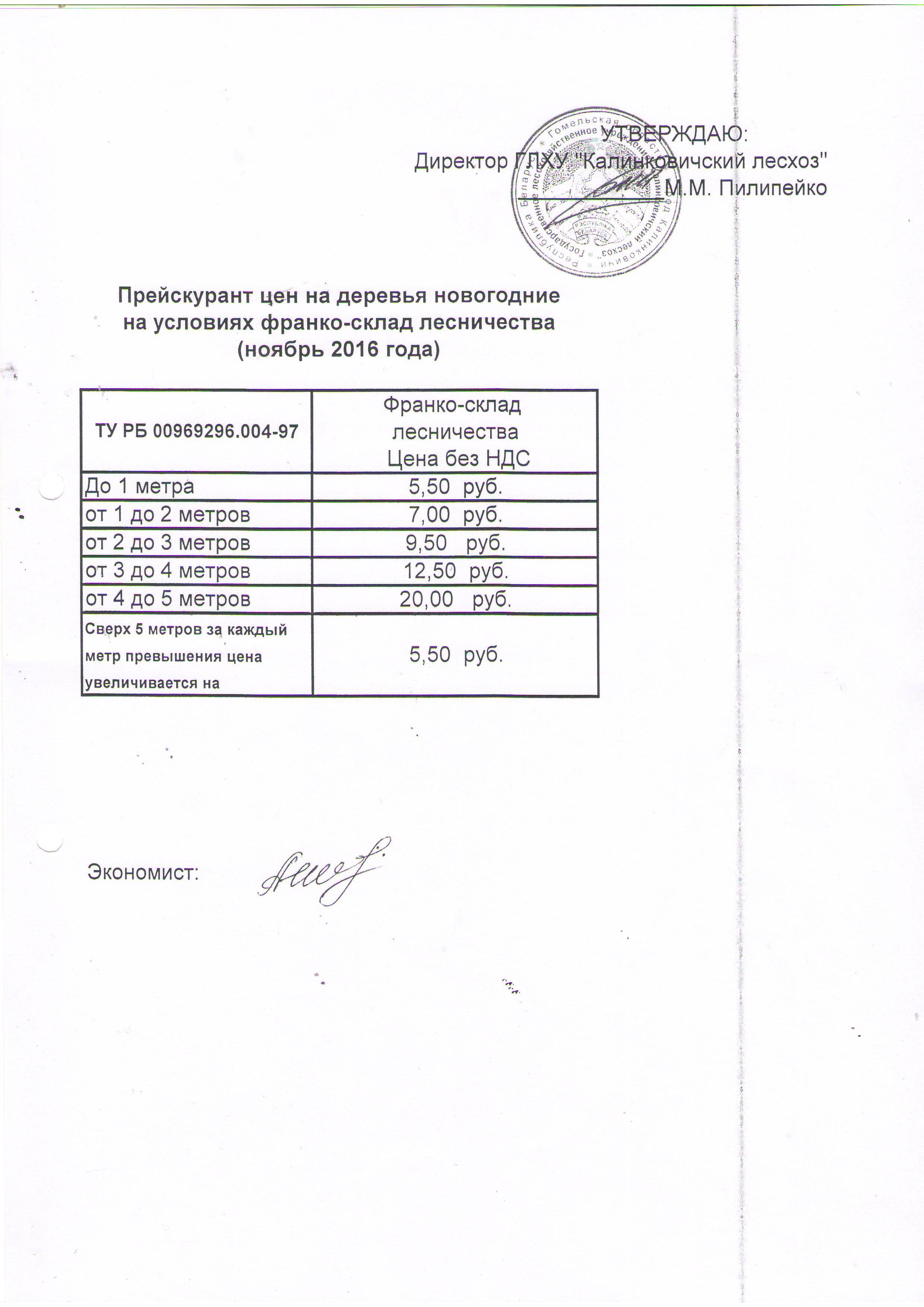 Елки0001