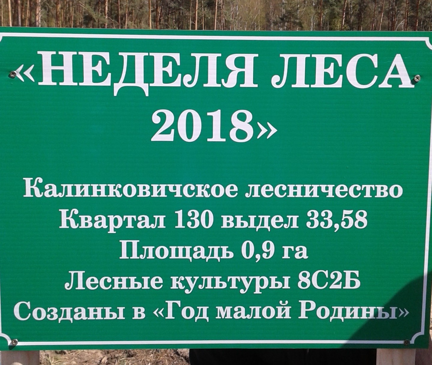 Неделя леса