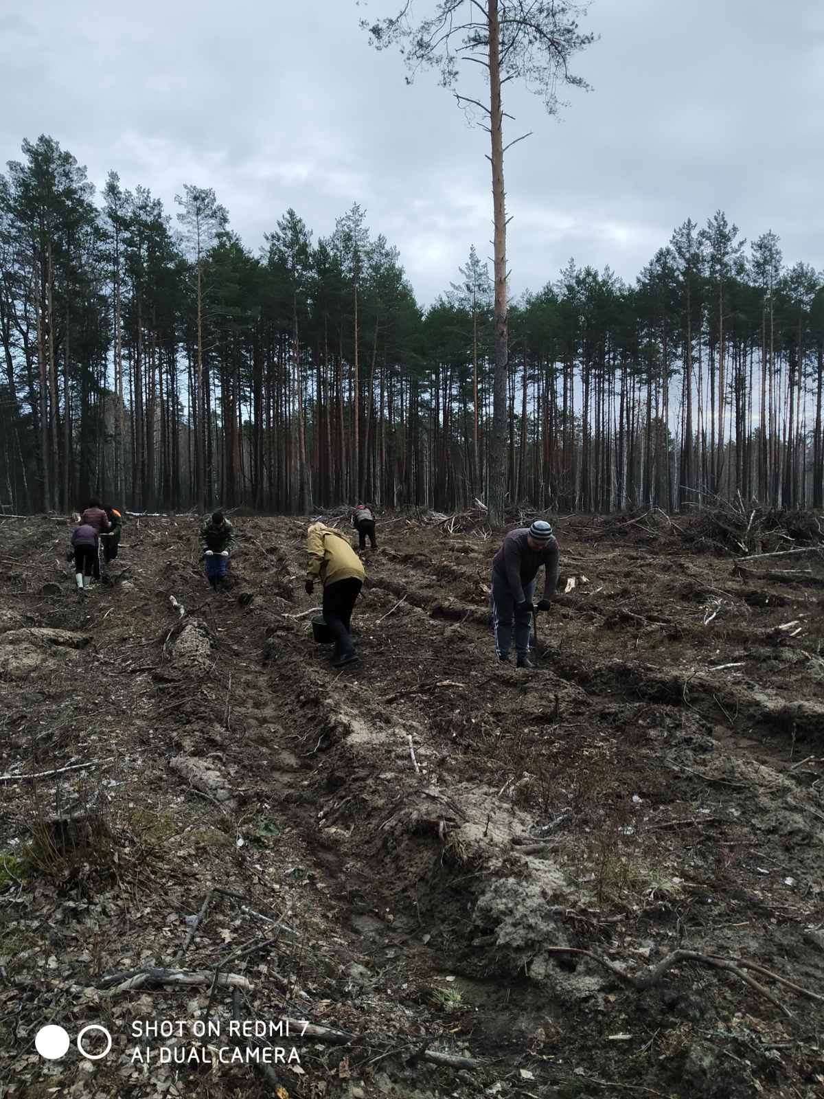 Озаричи