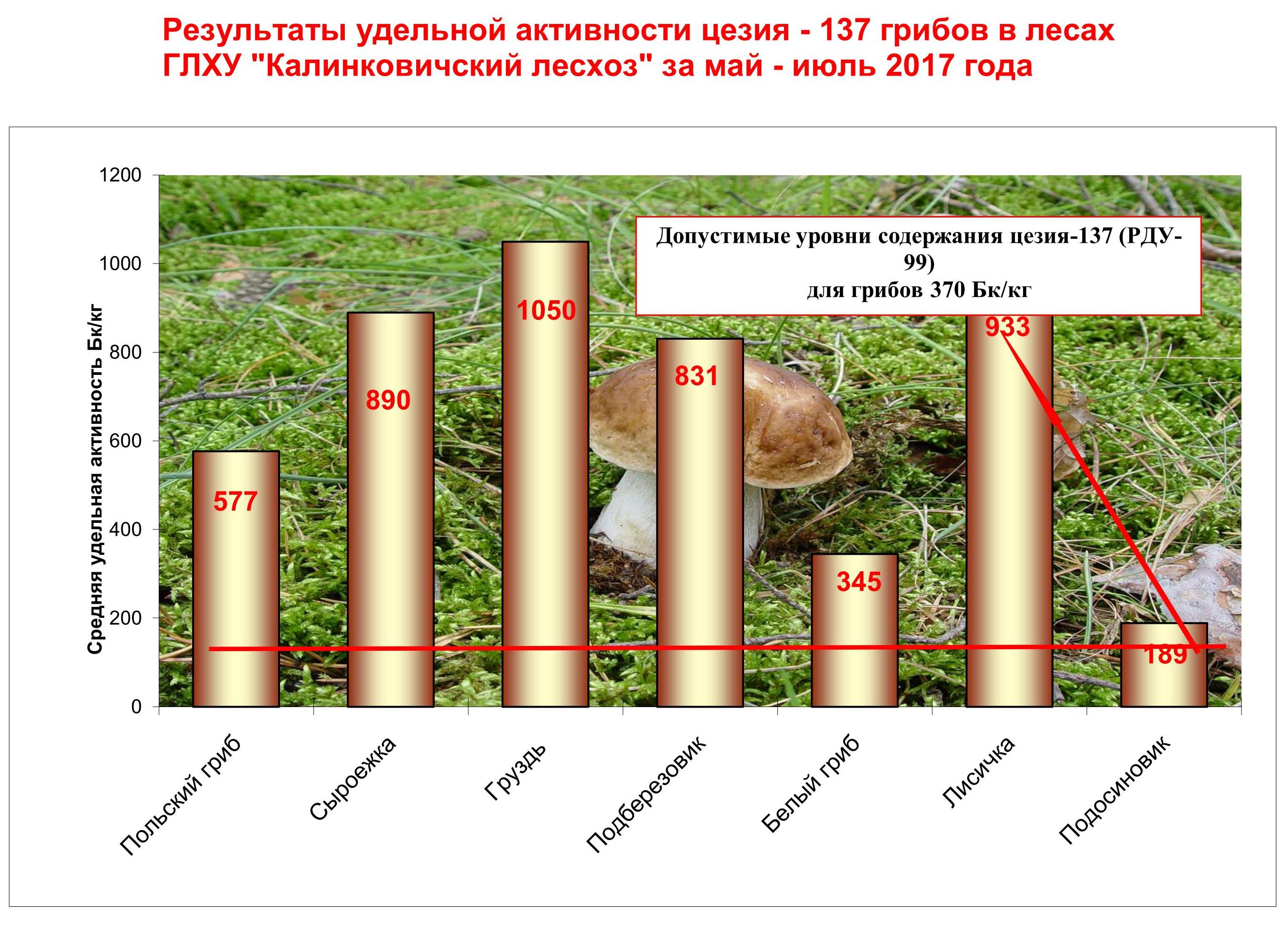 диаграмма по грибам 01