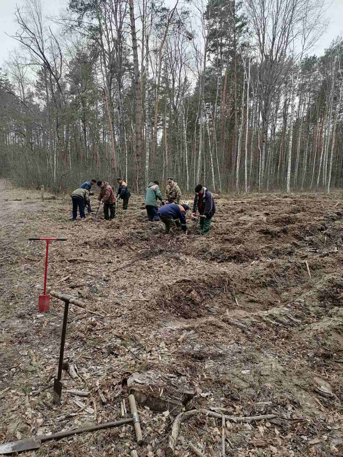изображение viber 2022 03 26 14 31 24 200