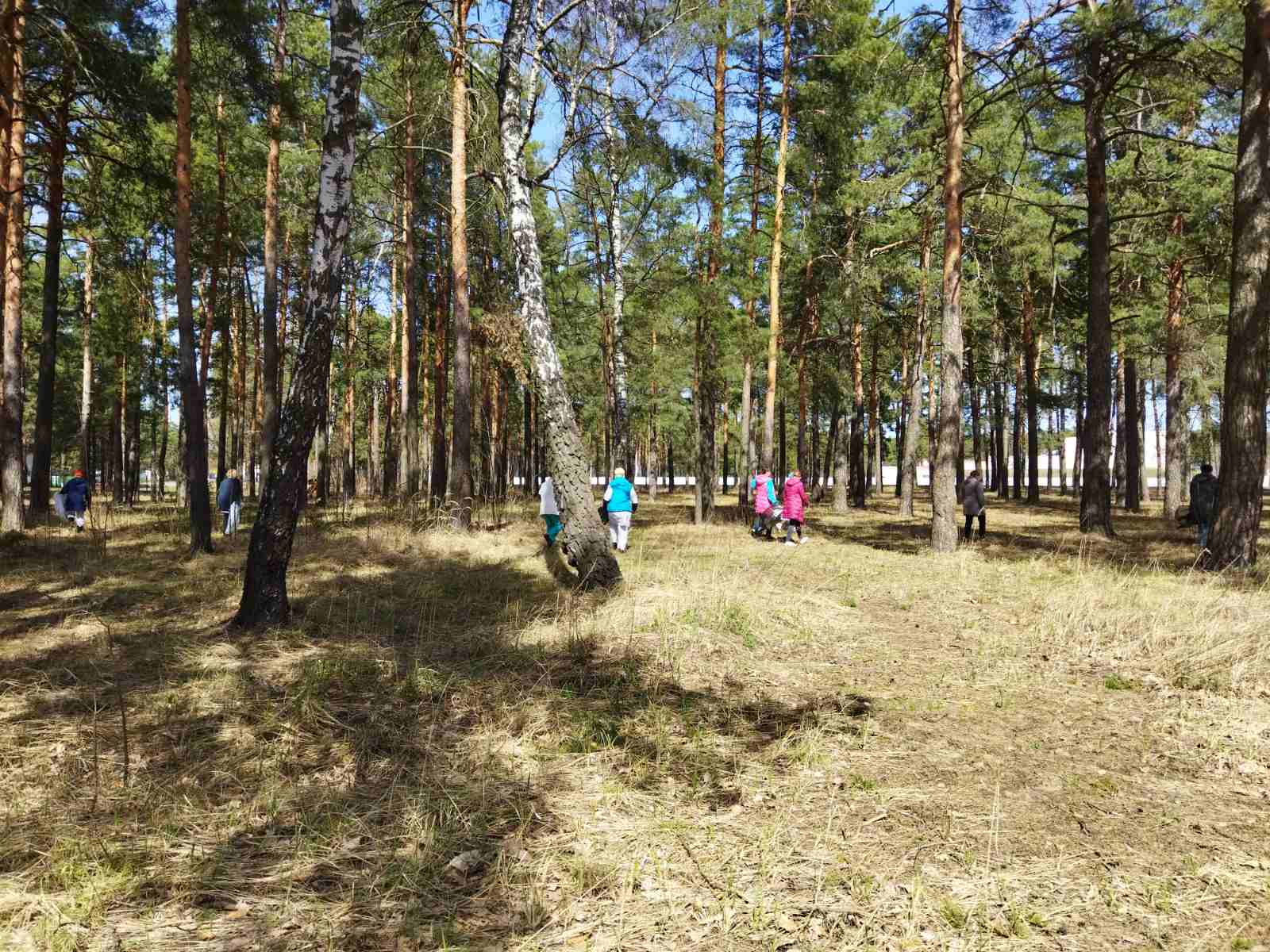 изображение viber 2022 04 14 20 19 52 525