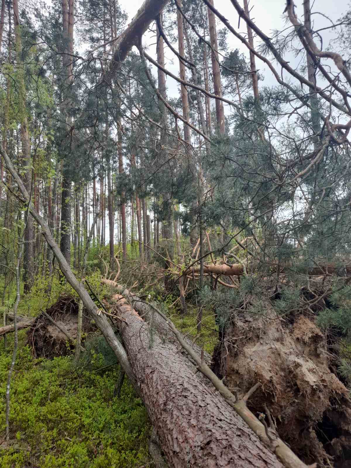 изображение viber 2022 05 13 10 37 06 583