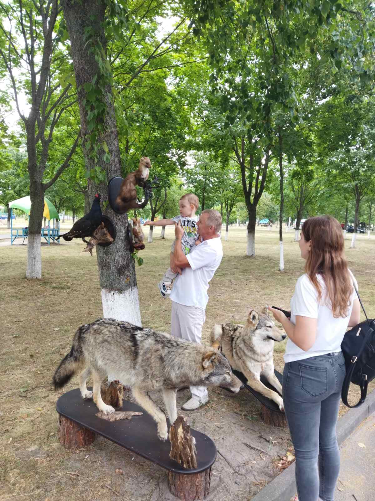 изображение viber 2022 07 03 15 30 32 302