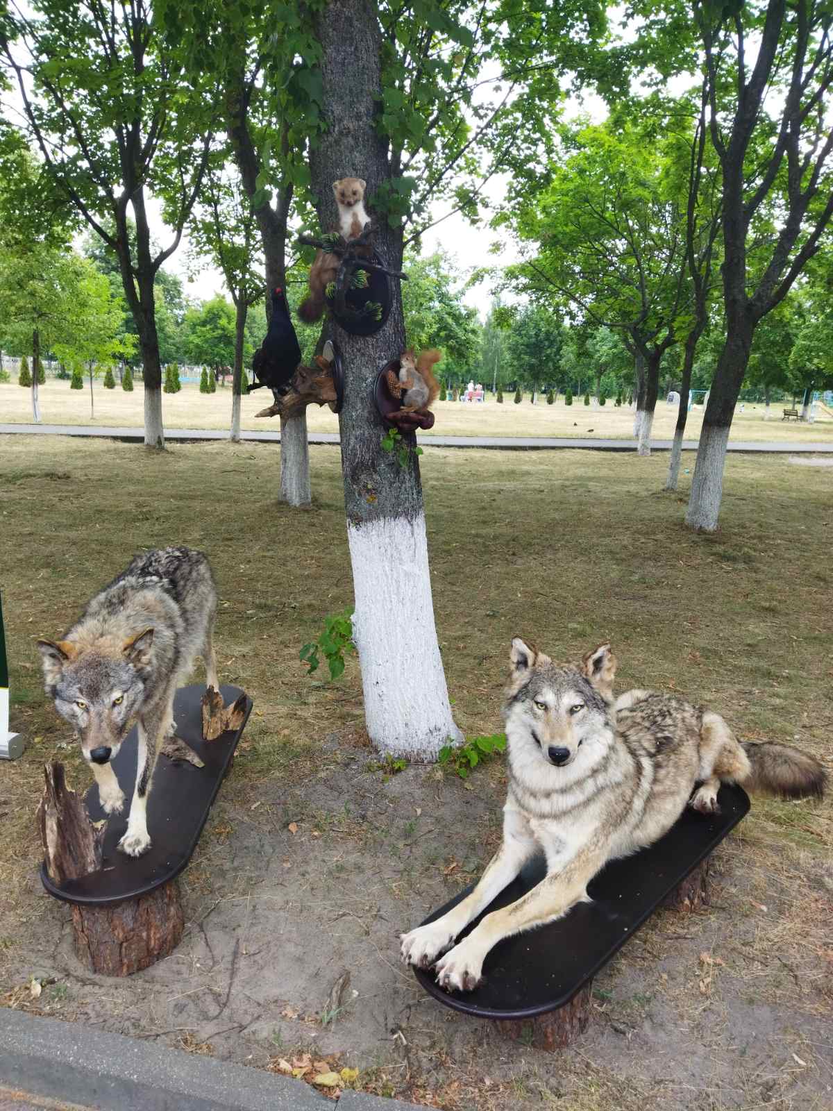 изображение viber 2022 07 03 15 32 45 420