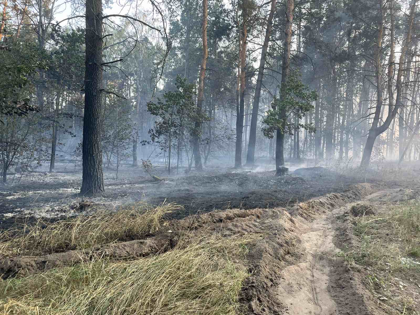 изображение viber 2022 08 26 18 44 59 253