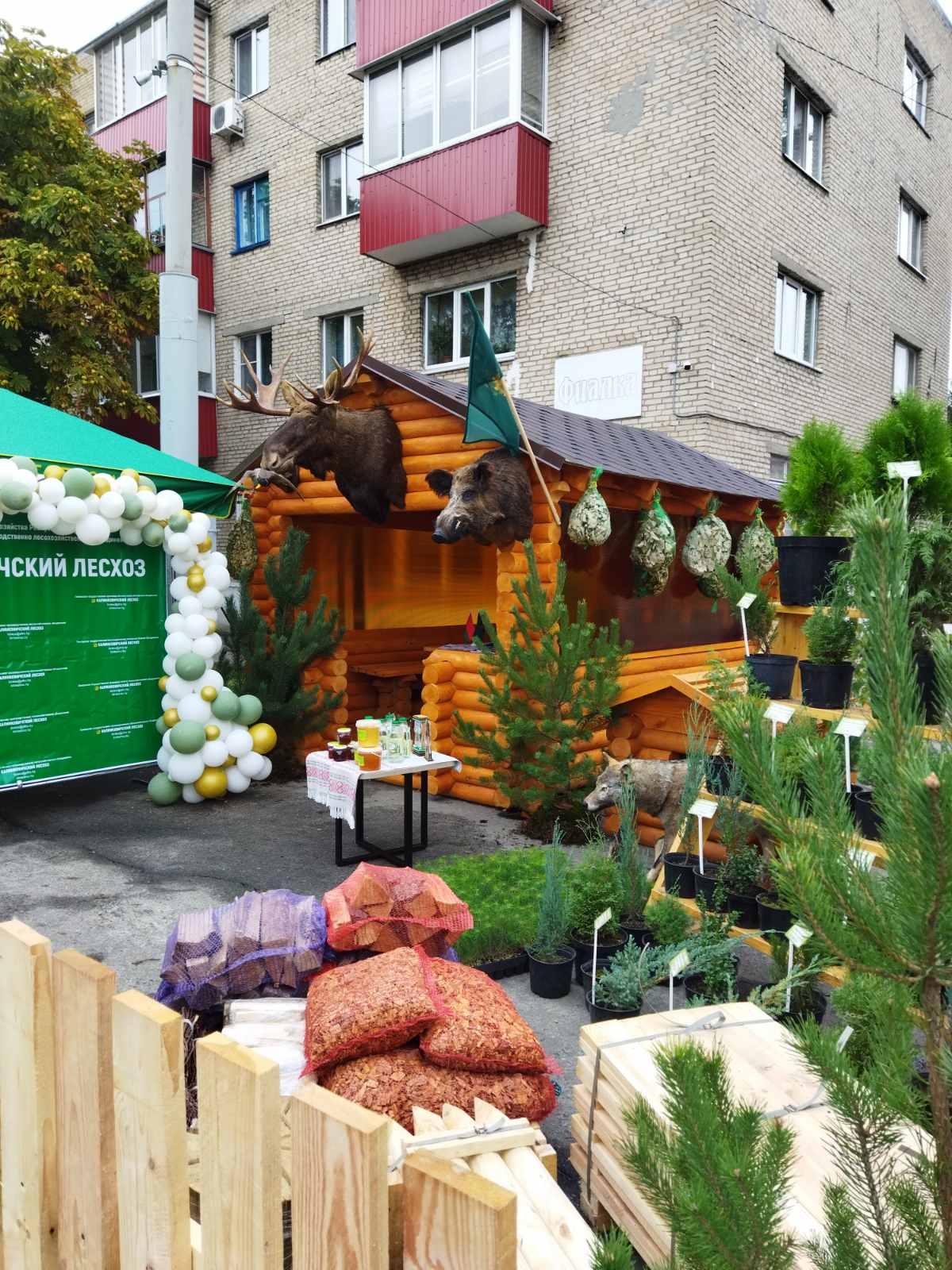 изображение viber 2022 09 25 11 21 02 492