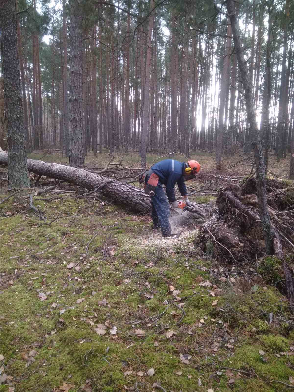 изображение viber 2022 11 05 12 19 16 102