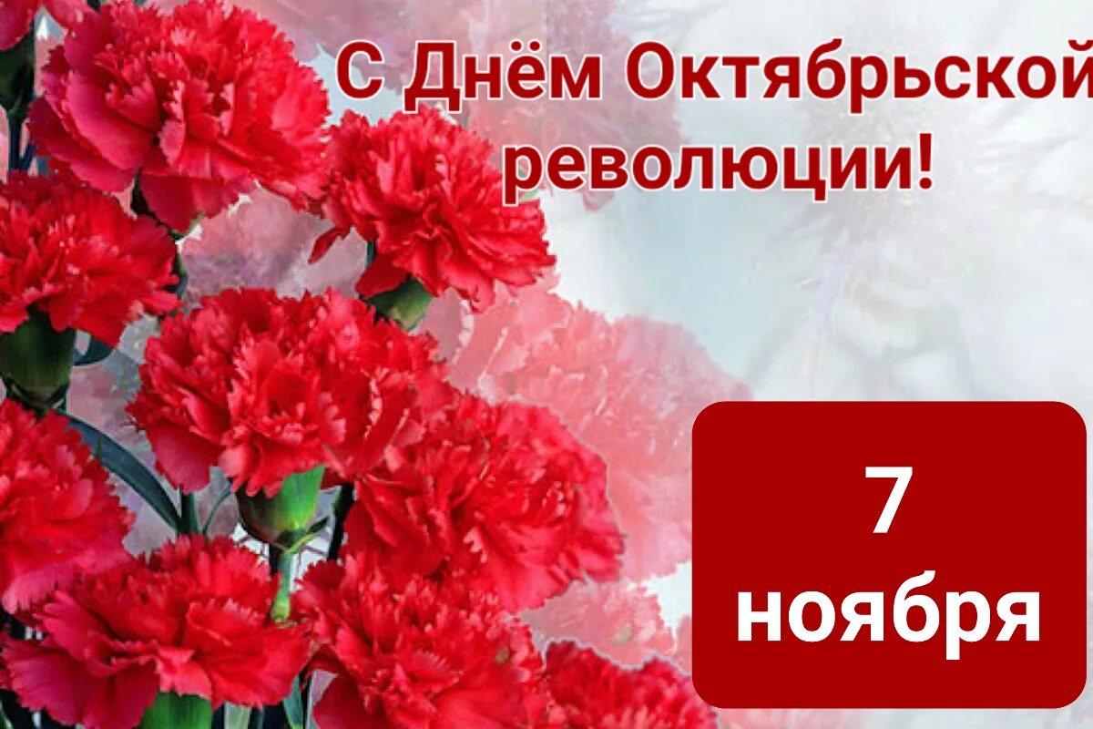 изображение viber 2022 11 07 08 52 44 960