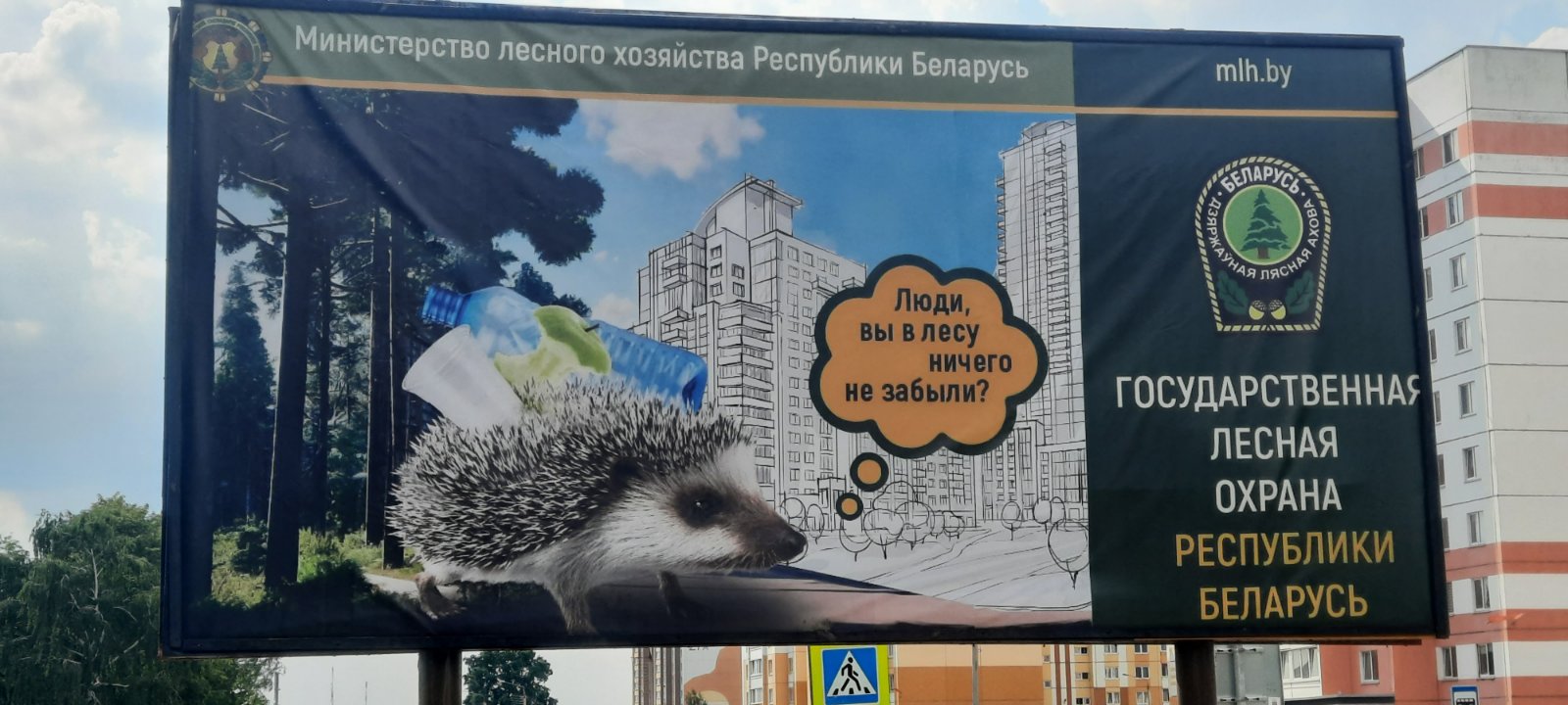 изображение viber 2023 06 09 16 11 29 810