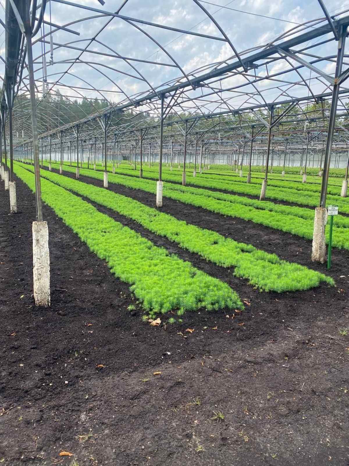 изображение viber 2023 08 30 13 13 47 253