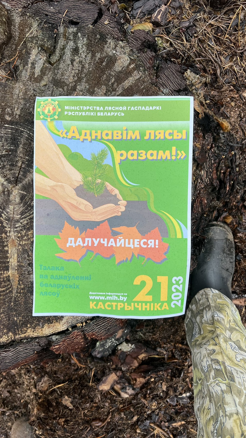 изображение viber 2023 11 08 18 46 13 365