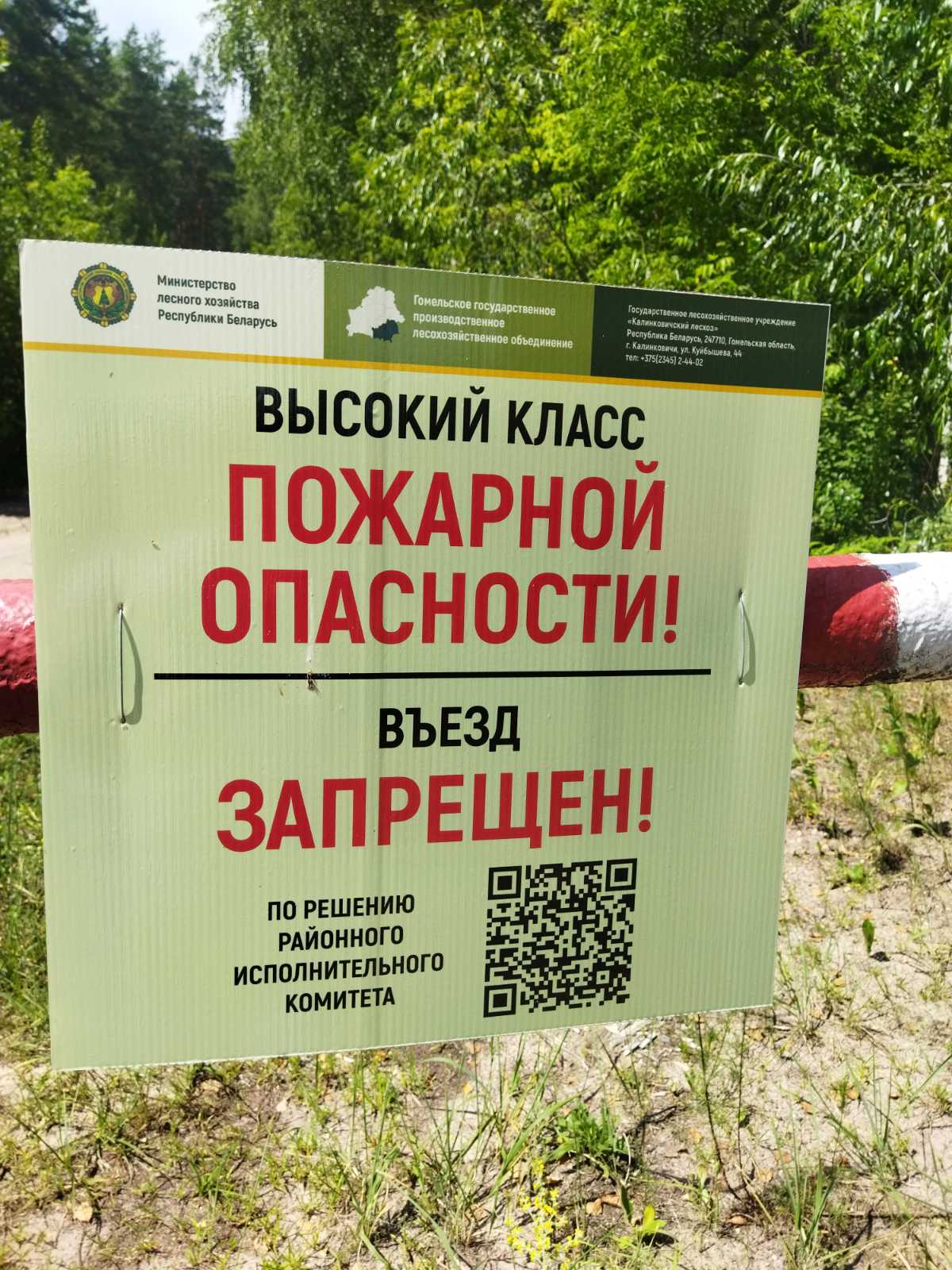 изображение viber 2024 06 29 15 35 13 116