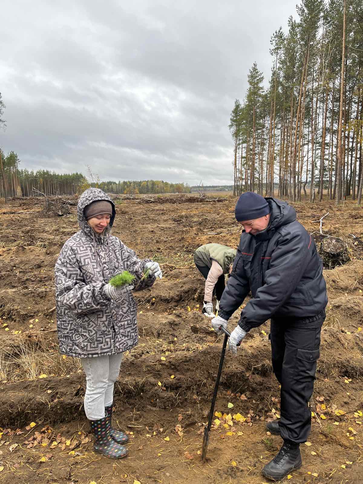 изображение viber 2025 10 13 11 51 38 344