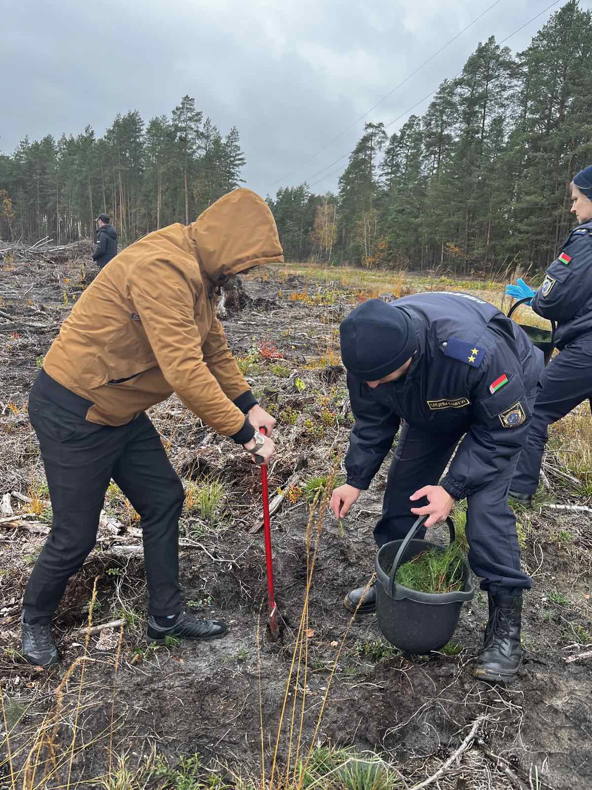 изображение viber 2025 10 28 15 58 54 757