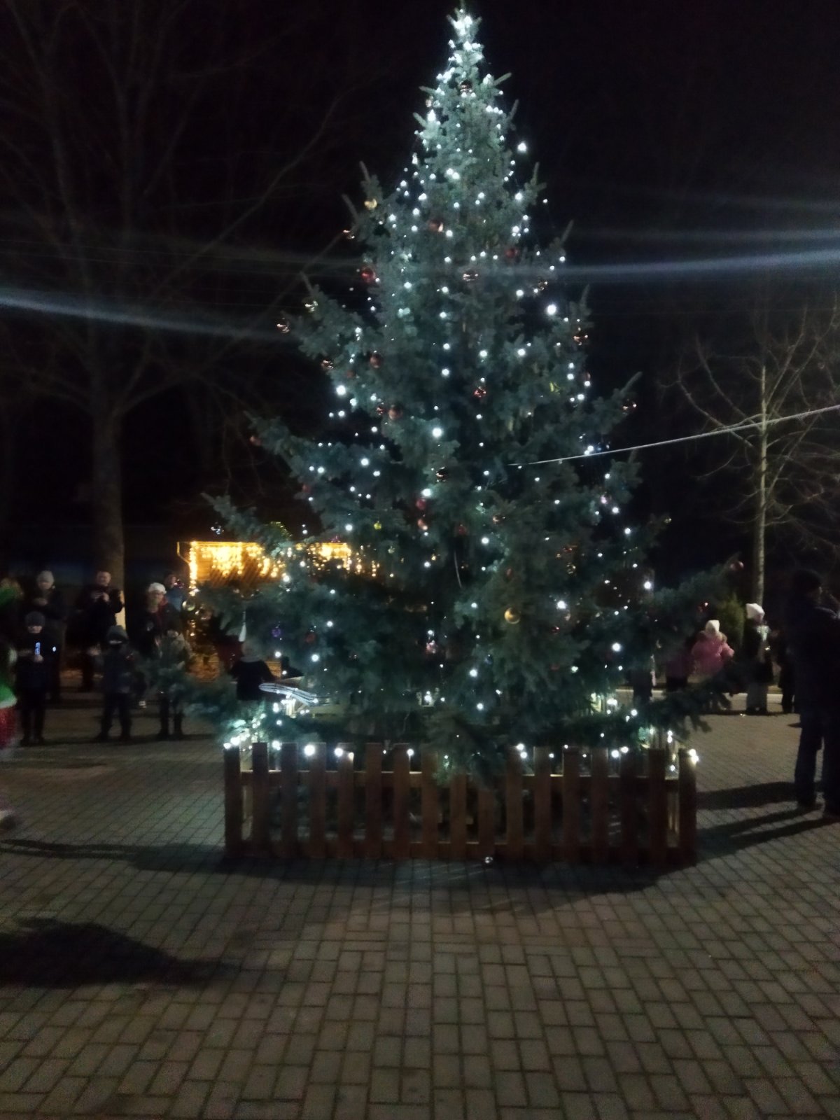 изображение viber 2025 12 22 16 37 30 008