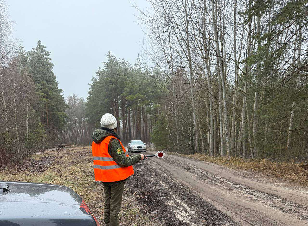 изображение viber 2025 12 24 10 32 36 635