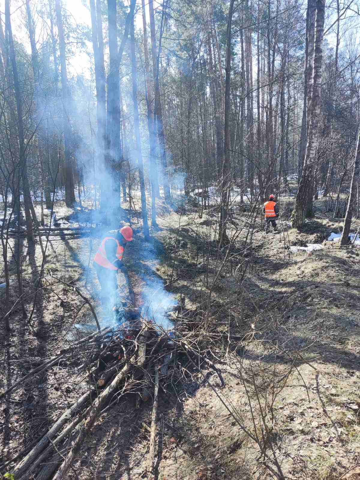 изображение viber 2026 03 14 11 30 41 580