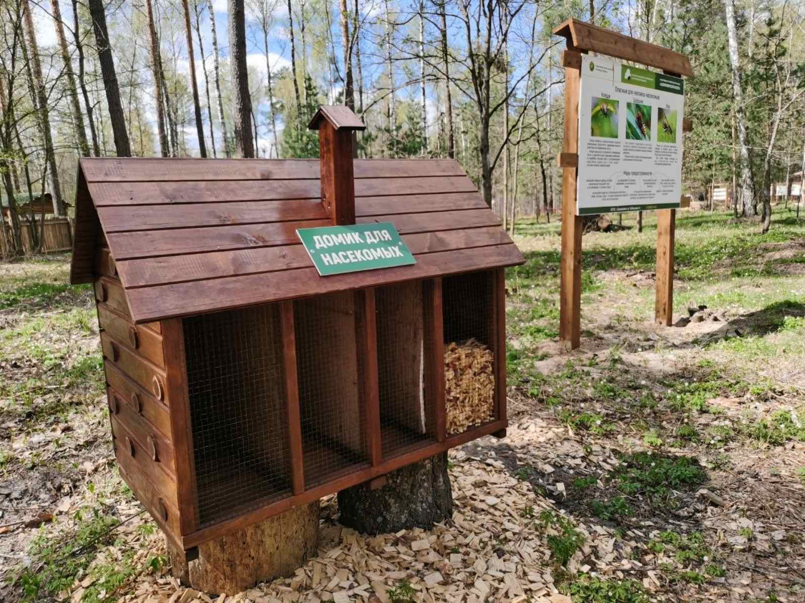 изображение viber 2026 04 24 17 51 58 605