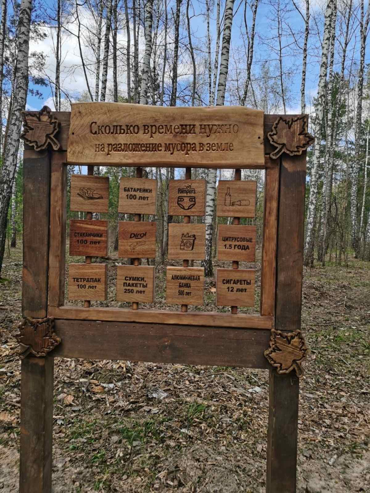 изображение viber 2026 04 24 17 51 58 693