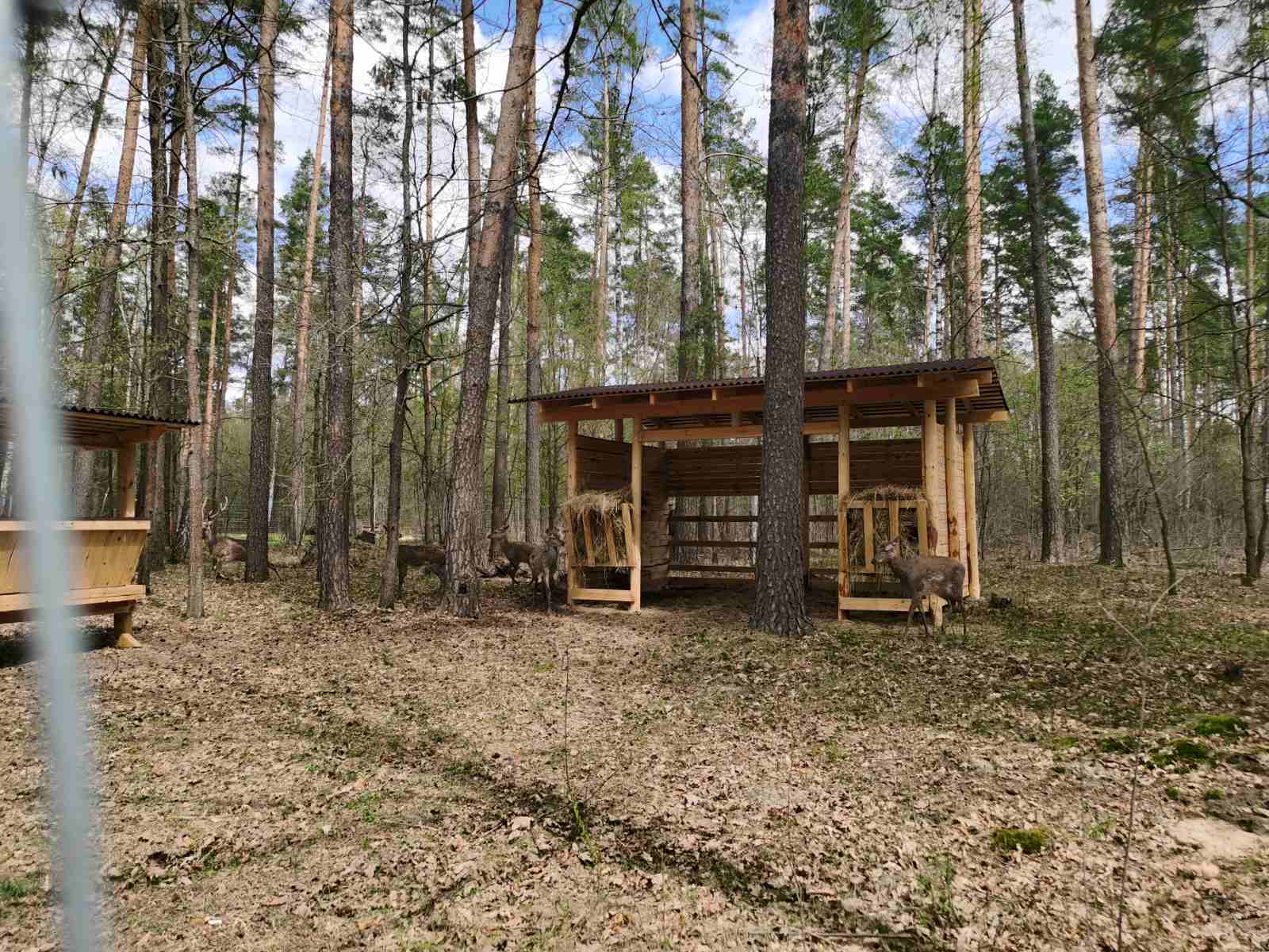 изображение viber 2026 04 24 17 52 06 897