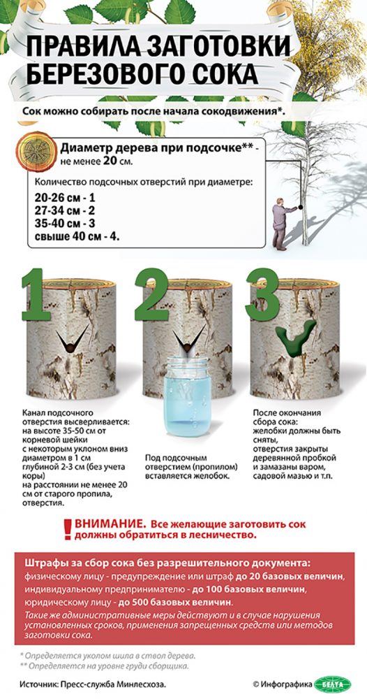 сок 1 526x1000