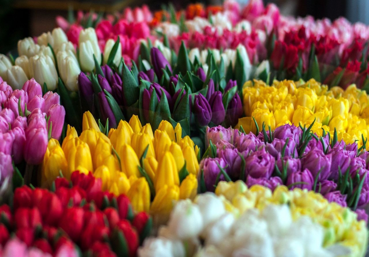 photo 2026 03 11 18 17 37