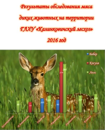2016