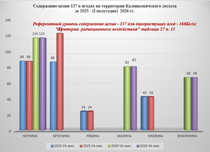 ягоды.png